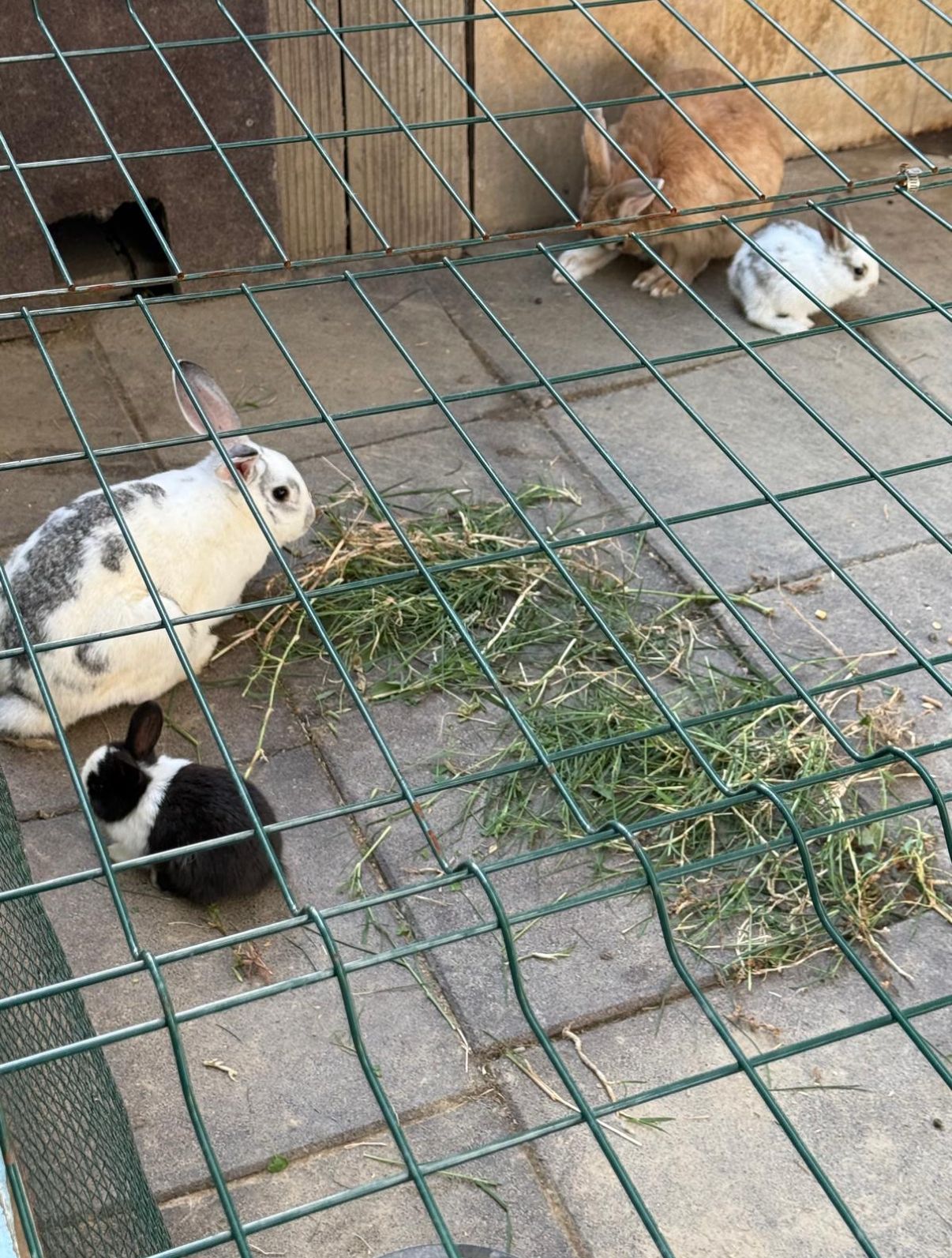 Özel Bilgi Bahçem Anaokulu 